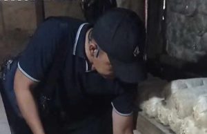 Danyon TP 853/Bawar Reje Bur Kunjungi Bangbara BEDAS, Kagumi Inovasi Budidaya Jamur di Bandung