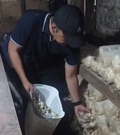 Danyon TP 853/Bawar Reje Bur Kunjungi Bangbara BEDAS, Kagumi Inovasi Budidaya Jamur di Bandung