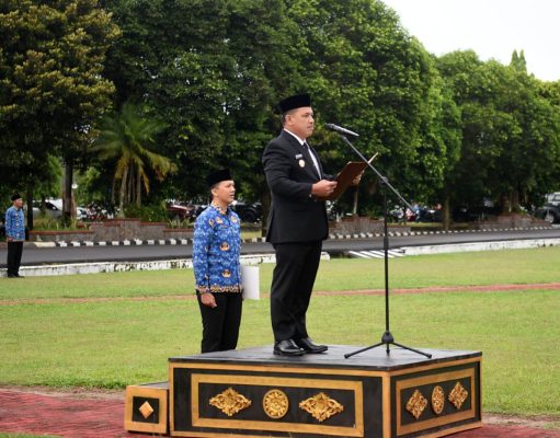 Wakil Bupati OKI: Hari Pahlawan Momentum Meneguhkan Semangat Gotong Royong dan Nilai Perjuangan