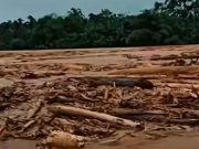 Mendagri Tito Karnavian Minta Investigasi Asal Kayu Gelondongan yang Terseret Banjir Bandang di Aceh, Sumut, dan Sumbar