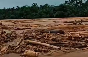 Mendagri Tito Karnavian Minta Investigasi Asal Kayu Gelondongan yang Terseret Banjir Bandang di Aceh, Sumut, dan Sumbar