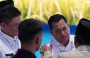 Bupati Banyuasin Terima Penghargaan Bintang Wira Karya Bidang Pertanian dari Presiden RI