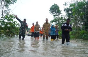 Petani OKI Terima 142 Ton Benih Padi, Pemerintah Pastikan Pemulihan Sawah Pascabanjir Berjalan Cepat