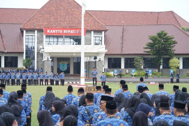 WhatsApp Image 2026-01-19 at 18.23.25