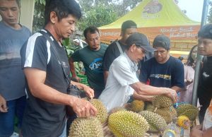 Bazar Durian Sumberasri Blitar Diserbu Pengunjung, Harga Durian Mulai Rp 15 Ribu, Ada Kontes Berhadiah Jutaan Rupiah