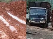 Angkutan Kayu PT MHP Diduga Rusak Jalan Desa di Rambang Niru, Warga Ancam Stop Operasional