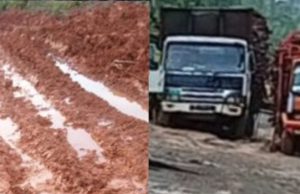 Angkutan Kayu PT MHP Diduga Rusak Jalan Desa di Rambang Niru, Warga Ancam Stop Operasional