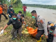 Mayat Pria Mengapung di Sungai Komering, Korban Tenggelam Asal OKU Timur Ditemukan di Teluk Gelam