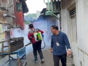 Fogging Digencarkan di Musim Penghujan: Pemkot Palembang Fokus Cegah DBD di Permukiman Warga
