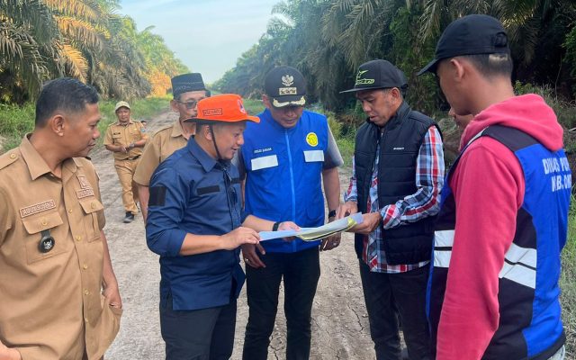 WhatsApp Image 2026-02-11 at 08.17.04