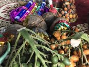 Tradisi Pinang Muda Warnai Adat Perkawinan Suku Penesak Pedamaran OKI, Warisan Budaya yang Tetap Lestari