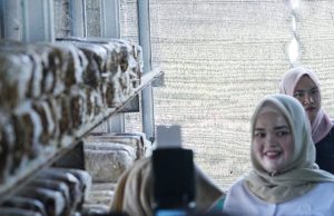 UMKM Jamur Tiram Banyuasin Disorot: Wabup Netta Dorong Hilirisasi Pangan dan Ekonomi Kreatif Desa