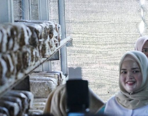UMKM Jamur Tiram Banyuasin Disorot: Wabup Netta Dorong Hilirisasi Pangan dan Ekonomi Kreatif Desa