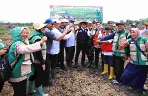 Tanam Padi Serentak Banyuasin, Herman Deru Perkuat Ketahanan Pangan Sumatera Selatan