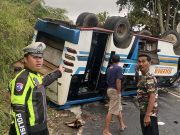 Kecelakaan Bus OKU Selatan: Microbus Terguling di Tanjakan Danau Ranau, 28 Penumpang Luka