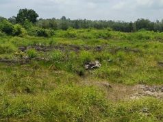 Polemik Lahan Desa Tempirai Memanas, Camat Penukal Utara Libatkan Polisi Mediasi Konflik
