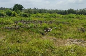 Polemik Lahan Desa Tempirai Memanas, Camat Penukal Utara Libatkan Polisi Mediasi Konflik