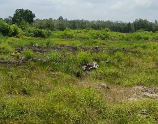 Polemik Lahan Desa Tempirai Memanas, Camat Penukal Utara Libatkan Polisi Mediasi Konflik