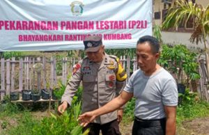 Program Pekarangan Pangan Bergizi di Banyuasin Dorong Swasembada dan Ketahanan Ekonomi Warga