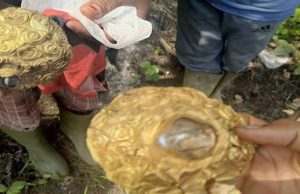 Diduga Artefak Emas Mirip Mahkota Ditemukan di Kebun Sawit PALI, Warga Desa Prambatan Geger