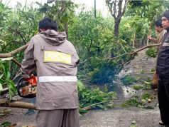 Polres Blitar Kota dan Warga Bersinergi Evakuasi Pohon Tumbang Dampak Cuaca Ekstrem