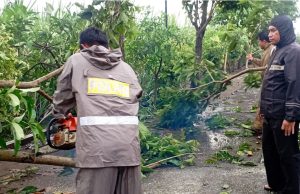Polres Blitar Kota dan Warga Bersinergi Evakuasi Pohon Tumbang Dampak Cuaca Ekstrem