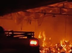 Api Melalap Gudang Sabut di Nglegok, Polisi Ungkap Dugaan Penyebab Kebakaran