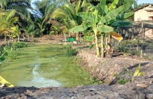 Terungkap, Dugaan Penggunaan Anggaran Desa Panca Mulya Jadi Sorotan Warga