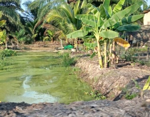 Terungkap, Dugaan Penggunaan Anggaran Desa Panca Mulya Jadi Sorotan Warga