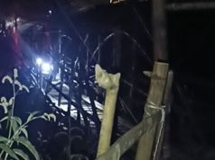 Jalan Rusak Mesidah Disorot, Warga Tempuh Dua Jam demi Sekolah dan Berobat