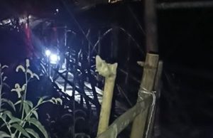 Jalan Rusak Mesidah Disorot, Warga Tempuh Dua Jam demi Sekolah dan Berobat