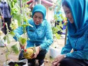 Program PKK Dievaluasi, Namun Dampaknya Belum Sepenuhnya Terlihat
