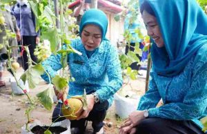 Program PKK Dievaluasi, Namun Dampaknya Belum Sepenuhnya Terlihat