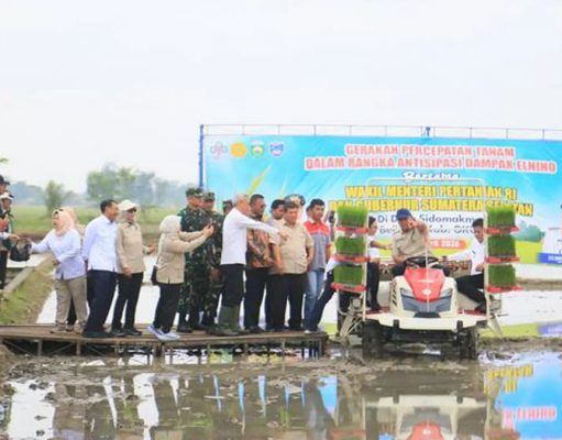 Percepatan Tanam Digencarkan, Namun Tantangan Petani Masih Ada Fakta Lapangan: Program Didorong, Tapi Belum Semua Petani Merasakan