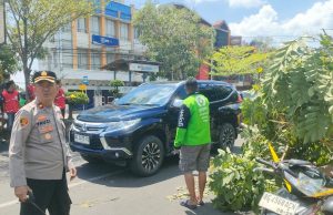 Pohon Tumbang Palembang Tewaskan Pengendara Ojek Online di Jalan Kapten A Rivai Siang Hari