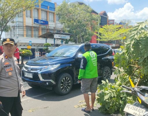 Pohon Tumbang Palembang Tewaskan Pengendara Ojek Online di Jalan Kapten A Rivai Siang Hari