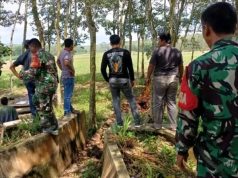 Irigasi Rusak Parah, Aliran Air Sawah Warga Mendadak Terhenti