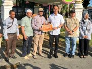 Sapi 1,1 Ton Asal Mesuji Dibeli Presiden Saat Peternak Lain Masih Berjuang