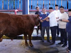 Kemnaker Himpun 93 Hewan Kurban Iduladha 1447 H, Perkuat Solidaritas dan Kepedulian Sosial