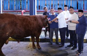 Kemnaker Himpun 93 Hewan Kurban Iduladha 1447 H, Perkuat Solidaritas dan Kepedulian Sosial