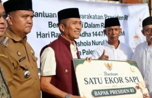 Sapi Kurban Presiden Disambut Meriah, Warga Berharap Perhatian Tak Hanya Saat Iduladha