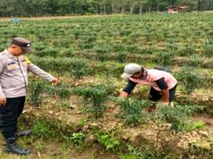 Program Pangan Polisi Digencarkan, Namun Dampaknya Masih Dipertanyakan