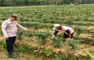 Program Pangan Polisi Digencarkan, Namun Dampaknya Masih Dipertanyakan