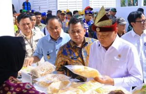 Kampung Nelayan Sungsang Diresmikan, Akses dan BBM Masih Disorot