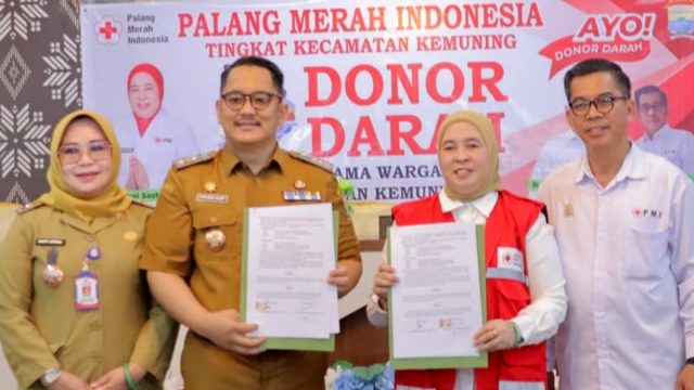 donor darah