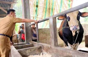 Fakta di Lapangan: Pasokan Aman Jelang Idul Adha, Tapi Warga Mulai Keluhkan Harga