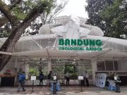 Pemprov Jabar Buka Peluang Kelola Kebun Binatang Bandung