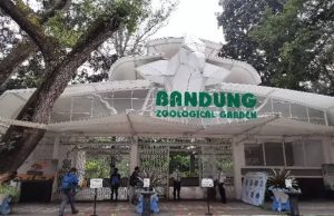 Pemprov Jabar Buka Peluang Kelola Kebun Binatang Bandung
