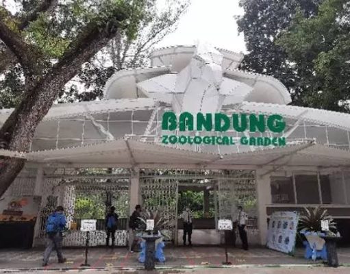 Pemprov Jabar Buka Peluang Kelola Kebun Binatang Bandung