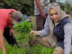 Reses Digelar, Petani Masih Keluhkan Kebutuhan Dasar